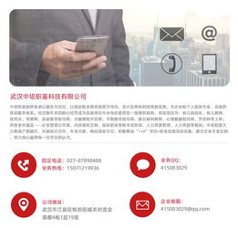 河南幼師資格證報(bào)考指南，兼談職業(yè)技能培訓(xùn)與計(jì)算機(jī)行業(yè)